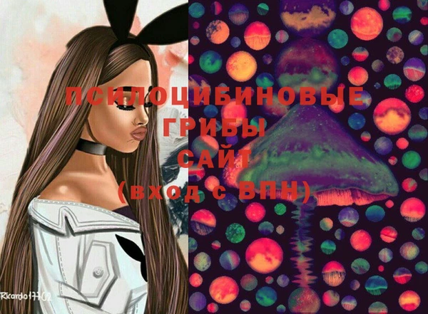 трава Новокубанск